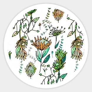 Protea Flower Orange Sticker